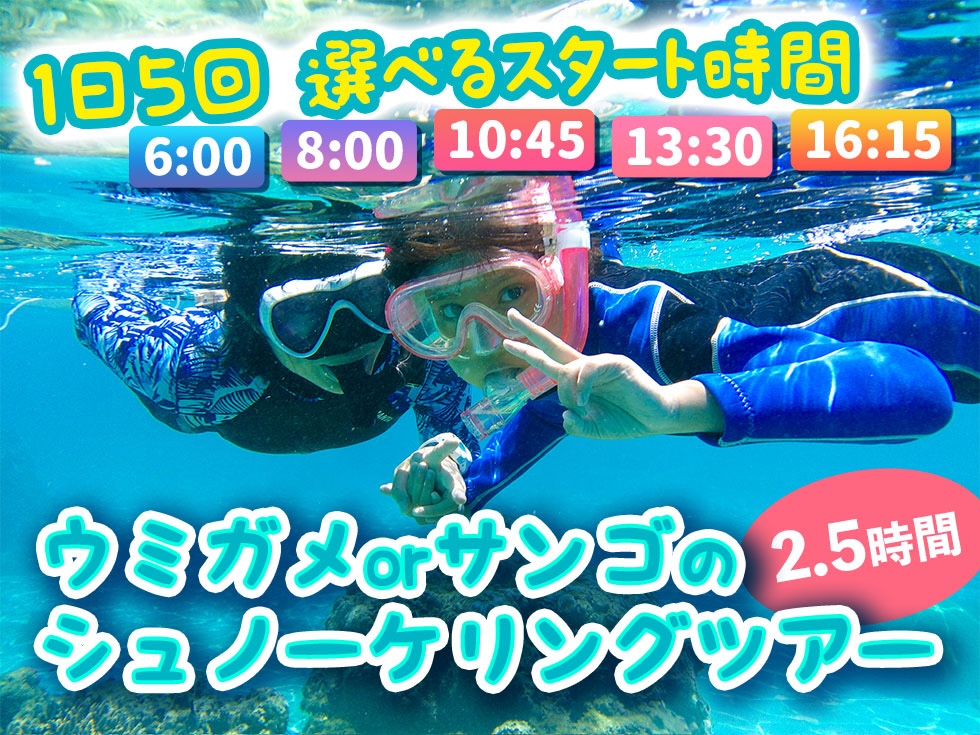 ウミガメorサンゴのシュノーケリングツアー（ビーチエントリー/2.5時間）
