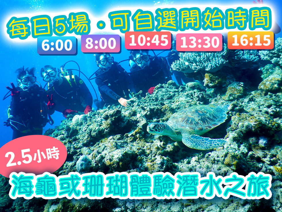 海龜或珊瑚體驗潛水之旅