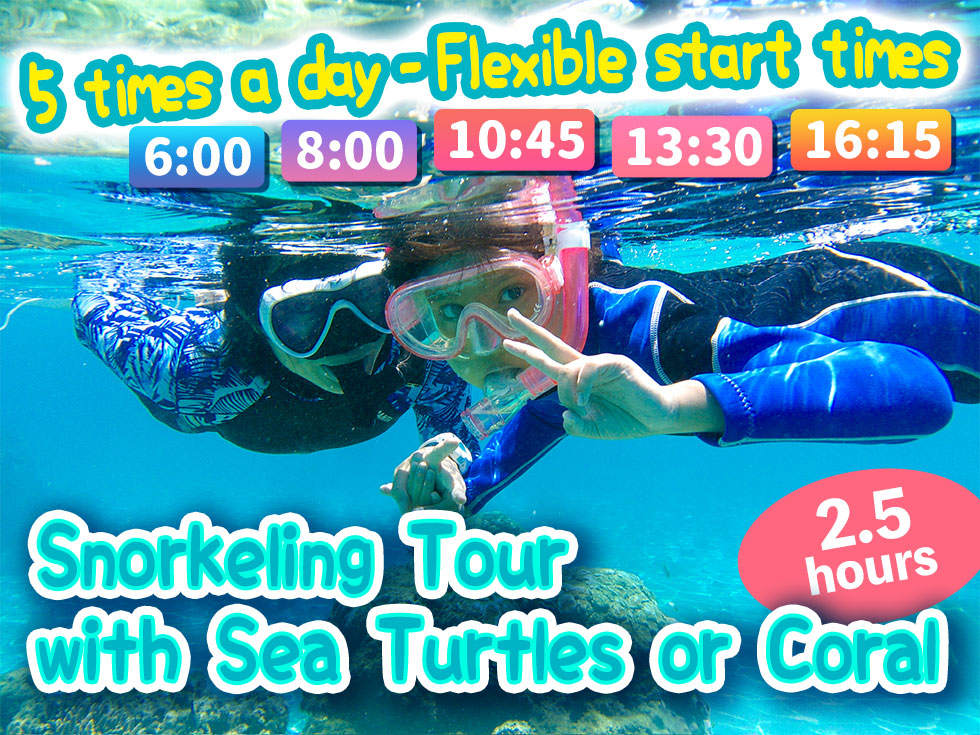 Snorkeling Tour with Sea Turtles or Coral