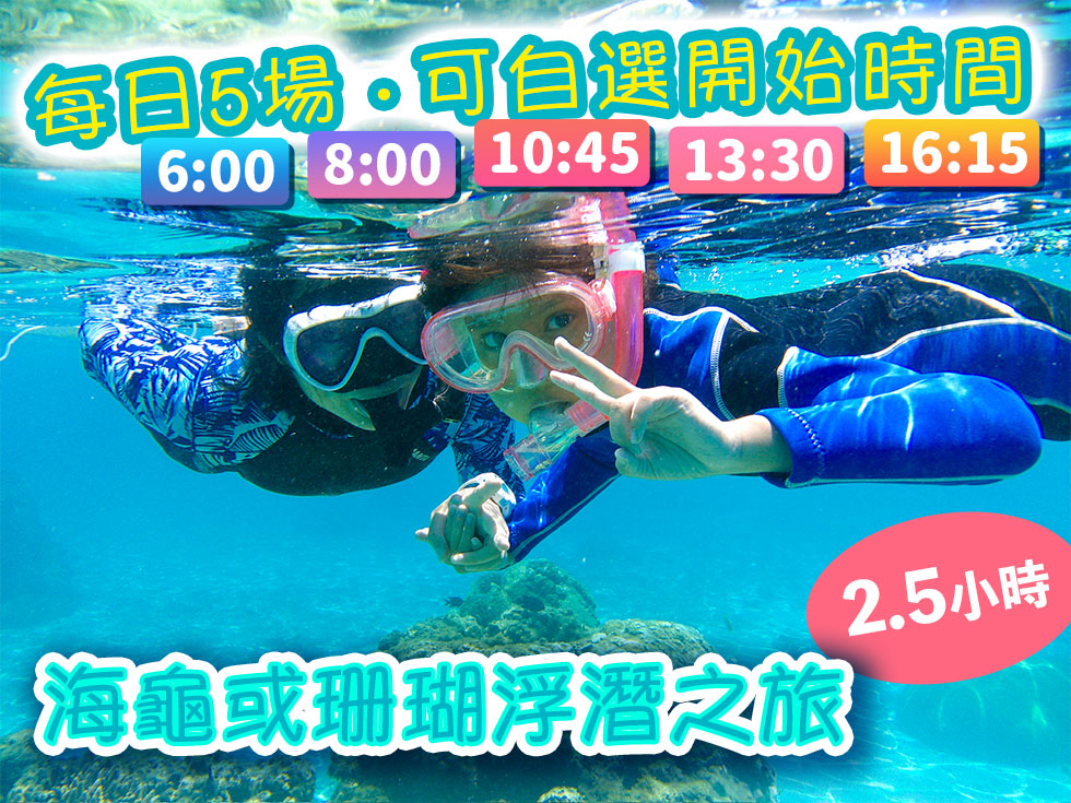 海龜或珊瑚浮潛之旅